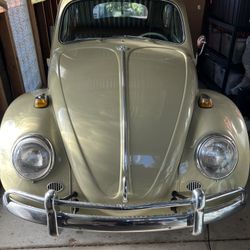 1964 VW Beatle, Super Clean And Original 
