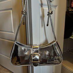 Silver Purse