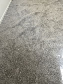 New Light Gray Carpet remnant