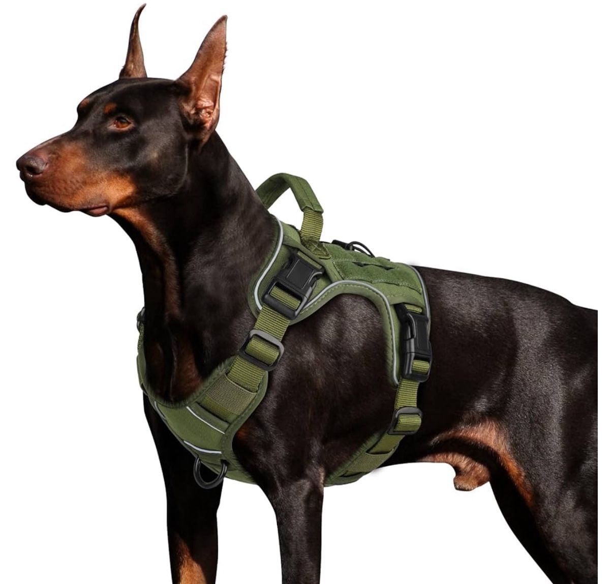 WINGOIN Green Harness with Handle for Medium Dogs No Pull, Hiking, Training (M)