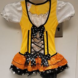 Butterfly Girls Dress Costume Small 4-6
