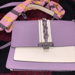 Aldo Purse 