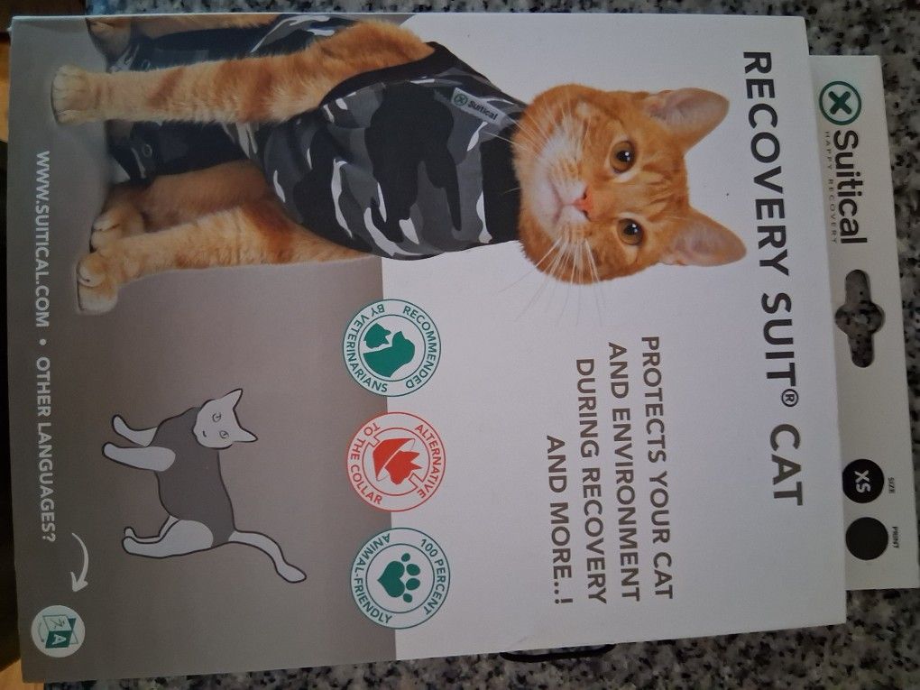 Cat Supplies