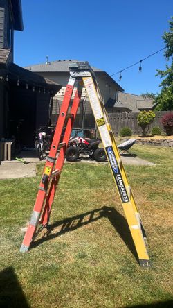 Werner heavy duty 6feet extetandable to 12ft