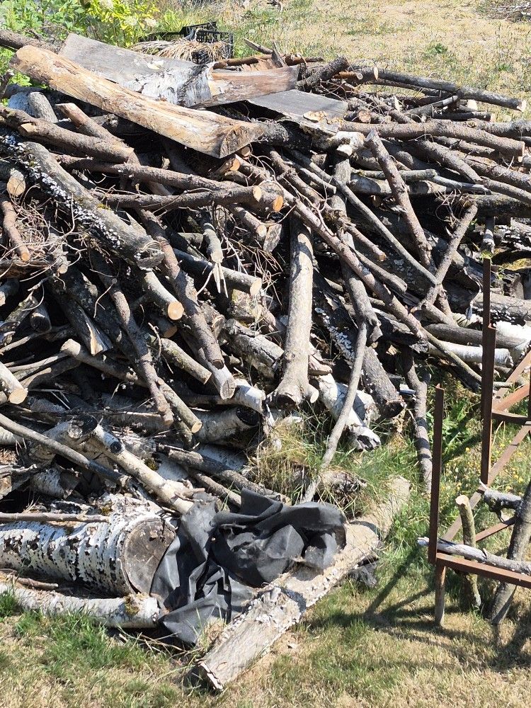 Firewood (Free)
