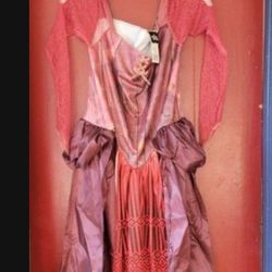 Hocus Pocus SARAH teen Costume Jr (7-9)