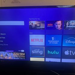 Magnavox tv and Roku 