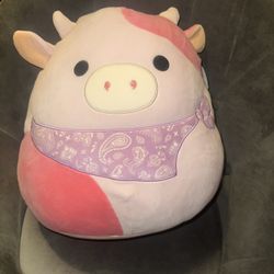 Squishmallows Bundle 