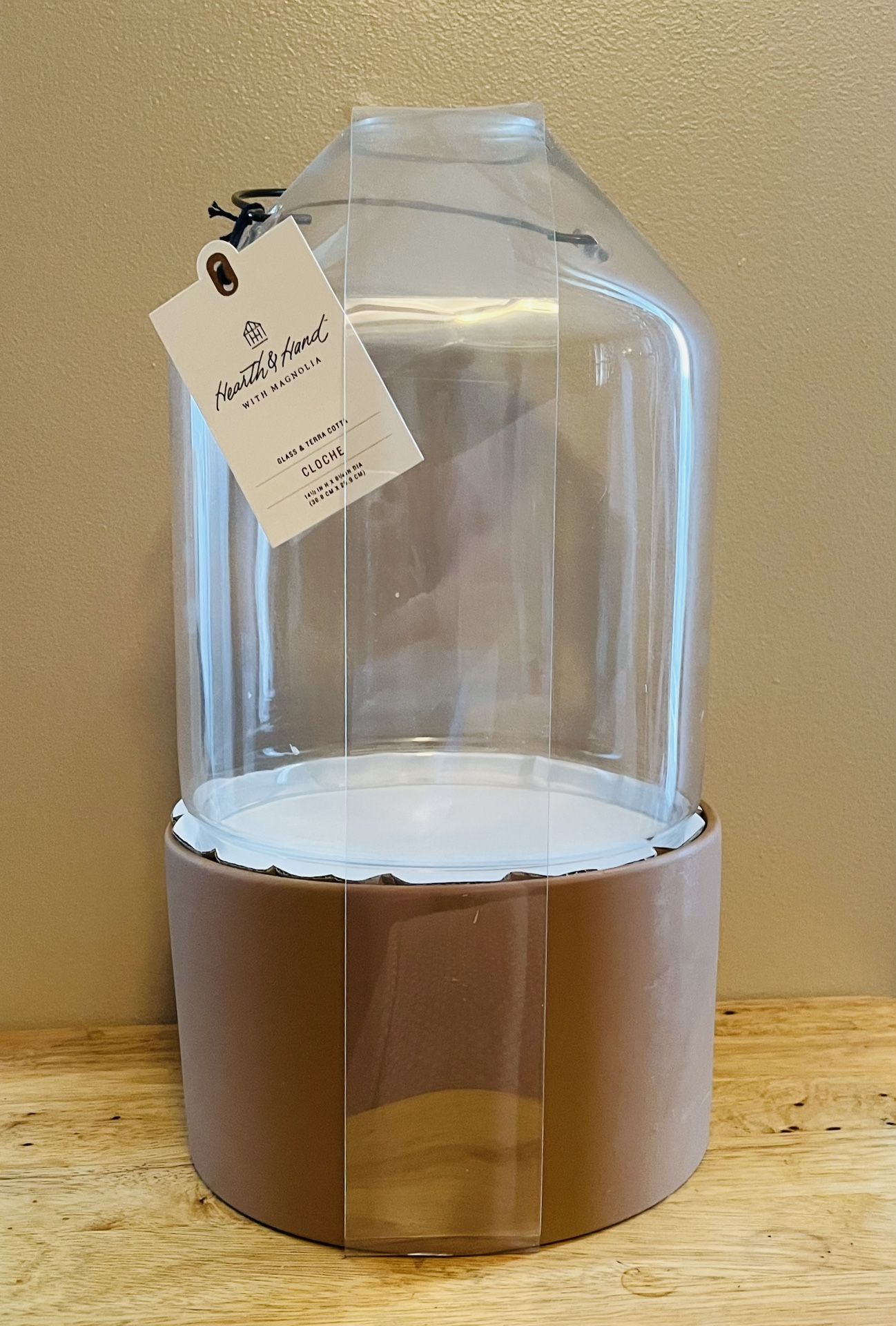 large-rare-hearth-hand-cloche-terrarium-for-sale-in-elizabethton-tn