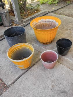 ALL OF THEM FOR $8 PICK UP IN SUN VALLEY