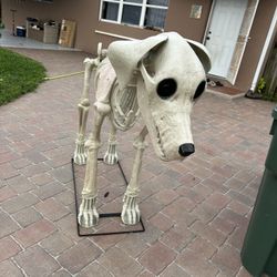 Skeleton Dog