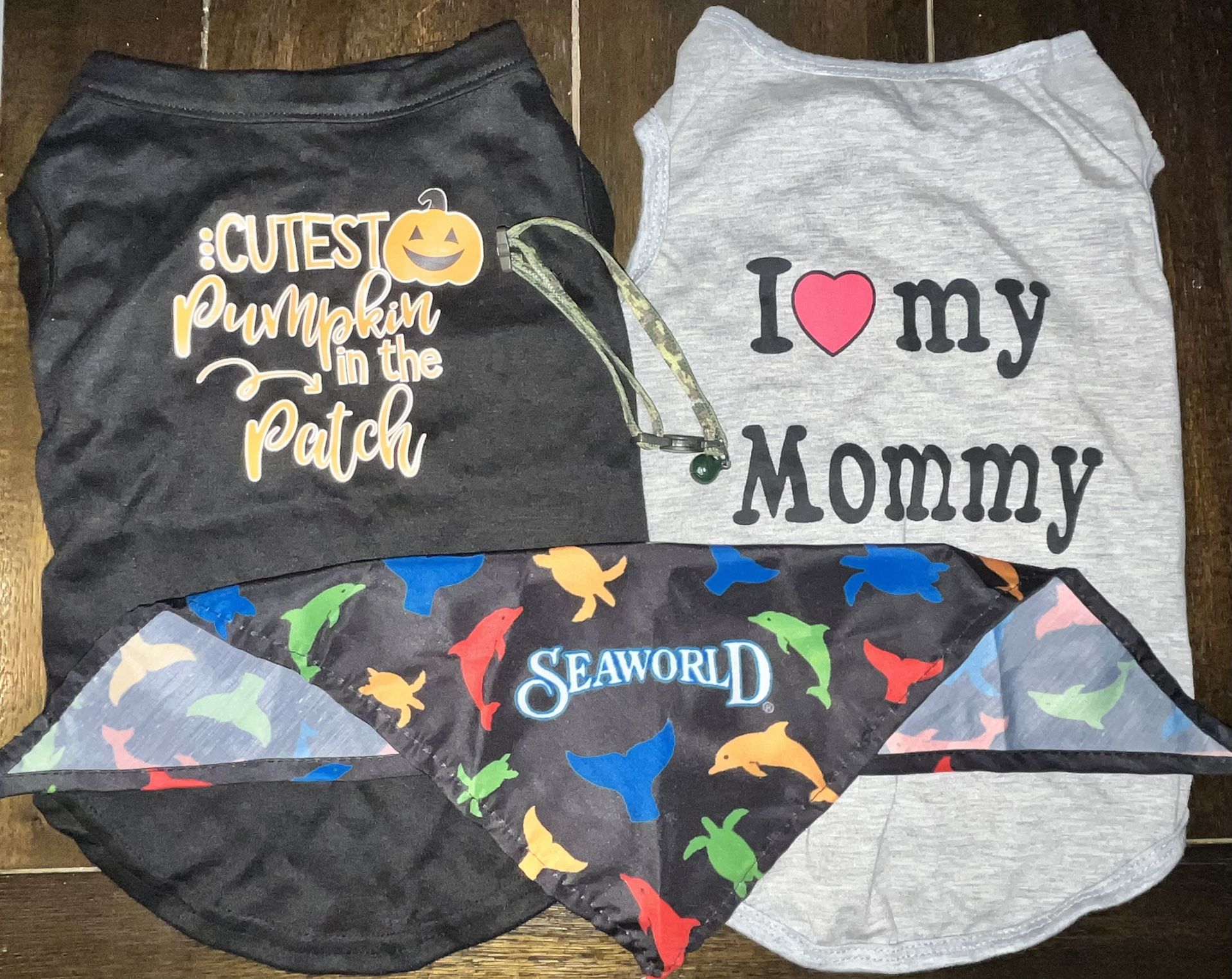Pet Accessories