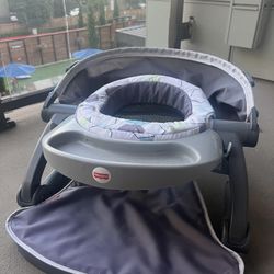 Baby Seat With Canopy