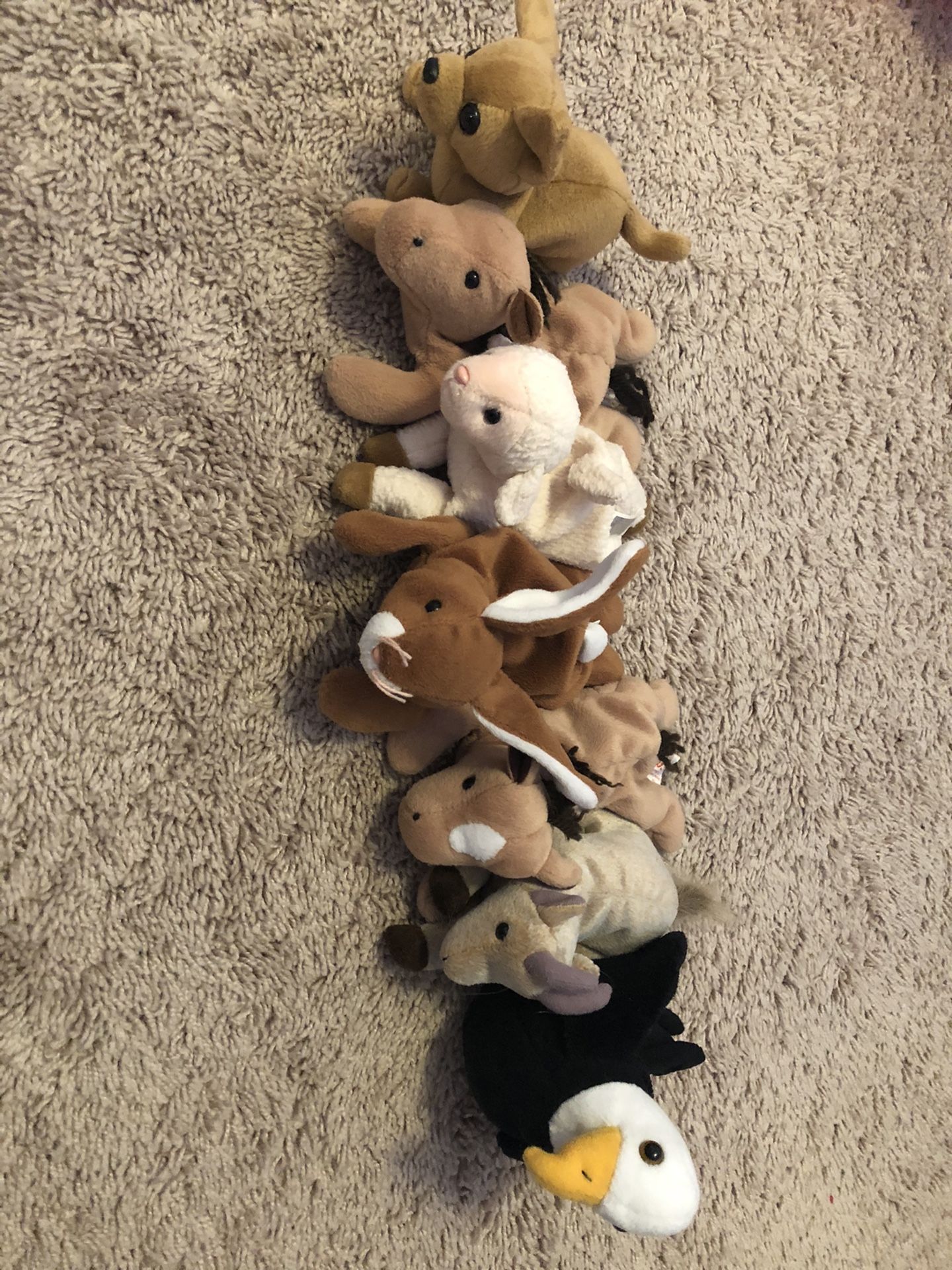 Beany babies collection