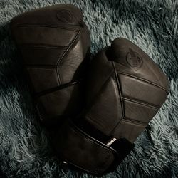 Obsidian Hayabusa 16ox Gloves
