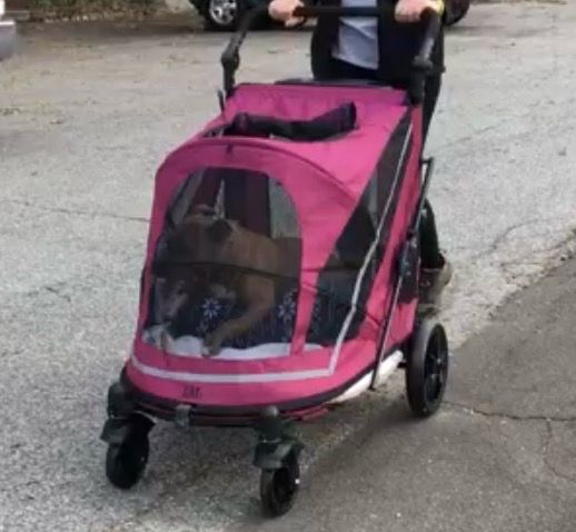 summer infant 3d lite stroller in black 3Dlite Convenience – Kids2, LLC Bike Size : Small Color:Polar Brown Clean minor stains on Veer Cruiser City, 2024
