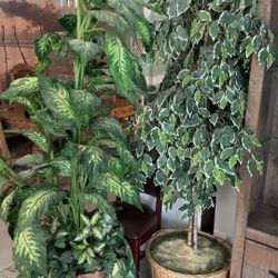 6”5 Feet Tall Fake Trees 