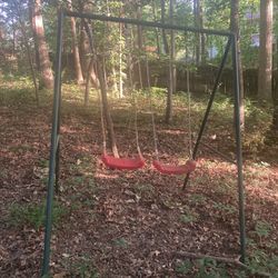 Twin Swing Set