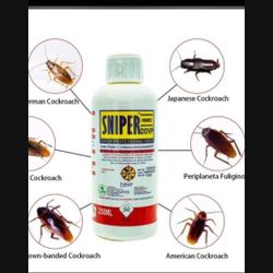 Sniper Roach And Bugs Insect-killer