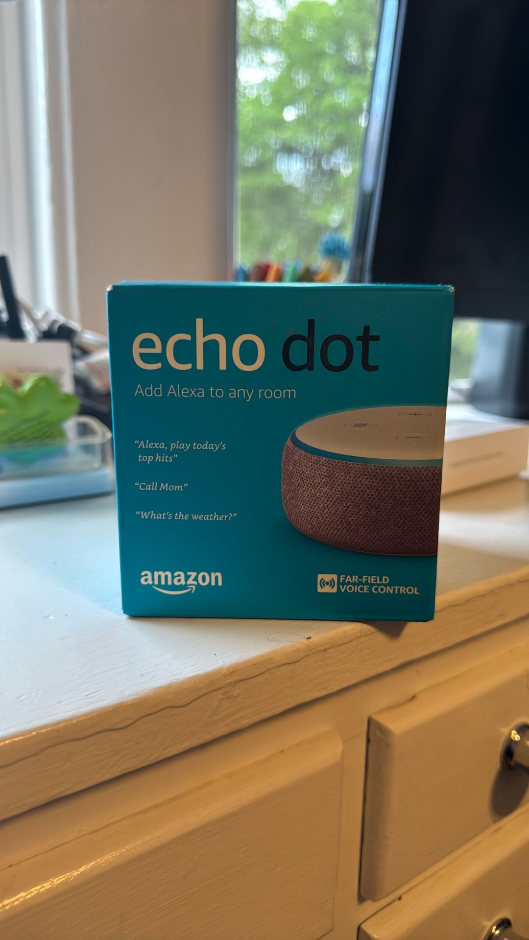Echo dot