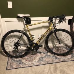 Carbon fiber bicycle