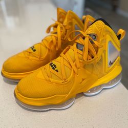 LeBron Nikes