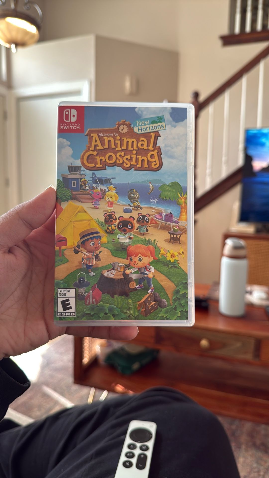 Nintendo Switch Animal Crossing New Horizons