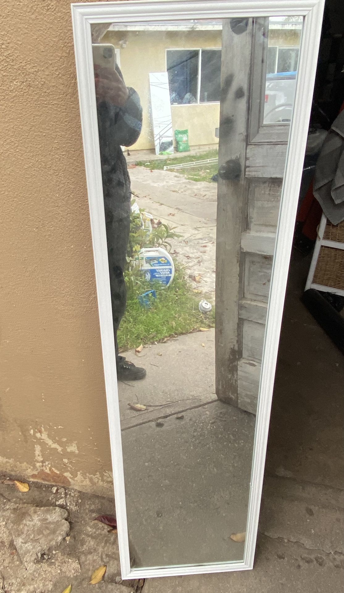 Door Mirror