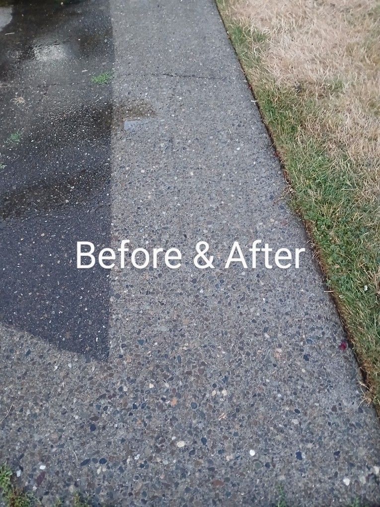 Driveway Cleaner