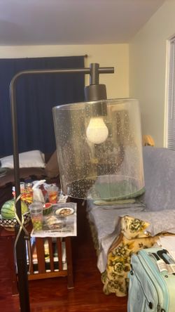 Used but Look Like New Stand Lamp