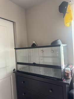 Exo Terra Reptile Tank