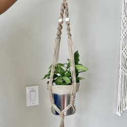 Macrame Jute Plant Hanger