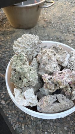 Dry aquarium rocks