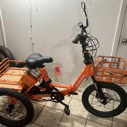 2021 TK 1 Mooncooltrike