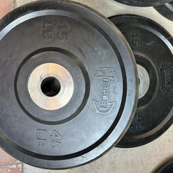Commercial Pair Of 45lb Olympic Bumper Plates
