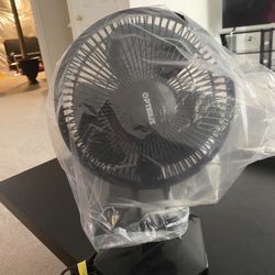 Fan