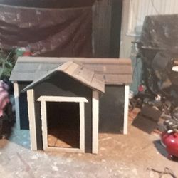 DOG House