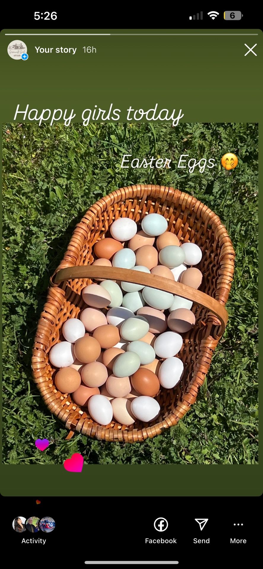 Eggs