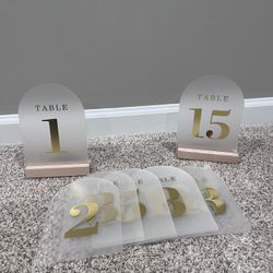 Frosted Table Numbers (wedding)