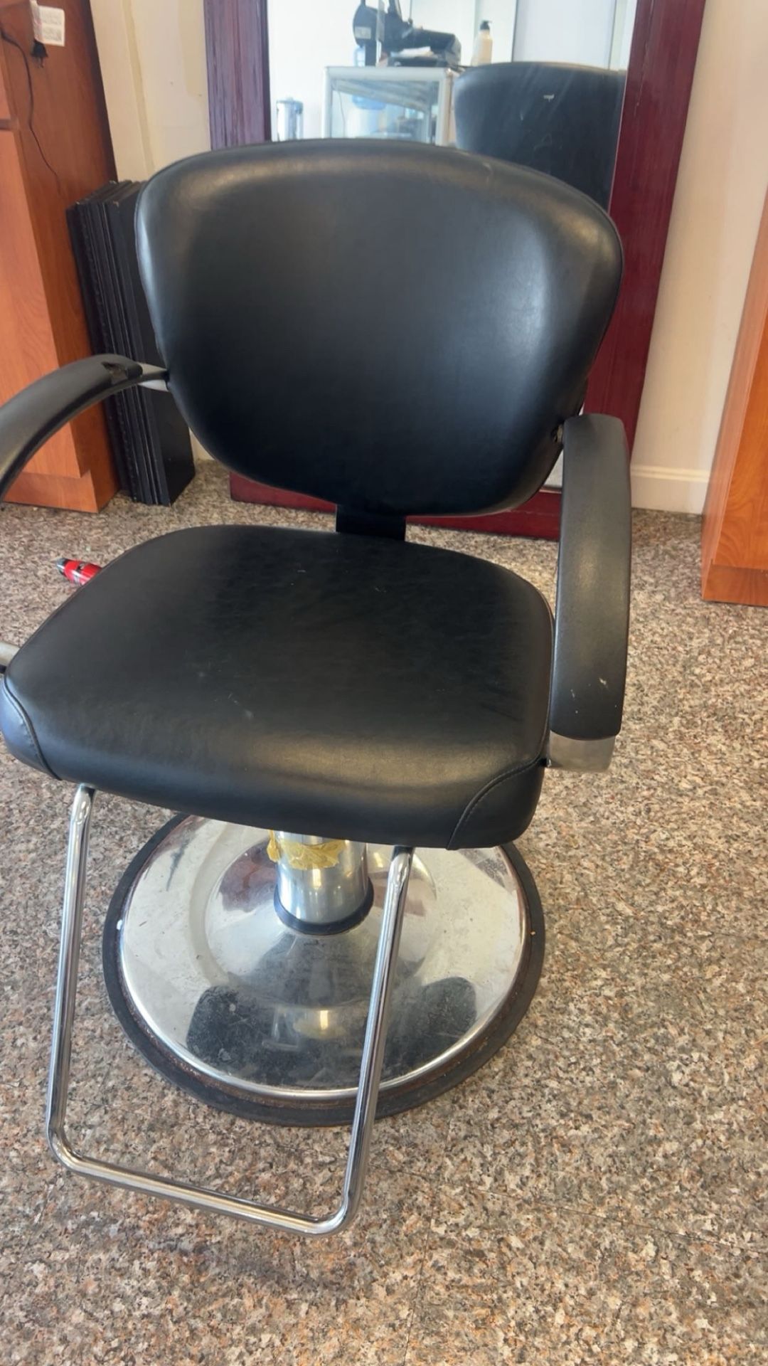 Salon Chair