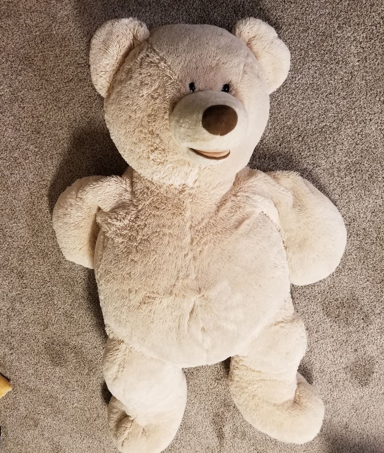 Huge Teddy bear
