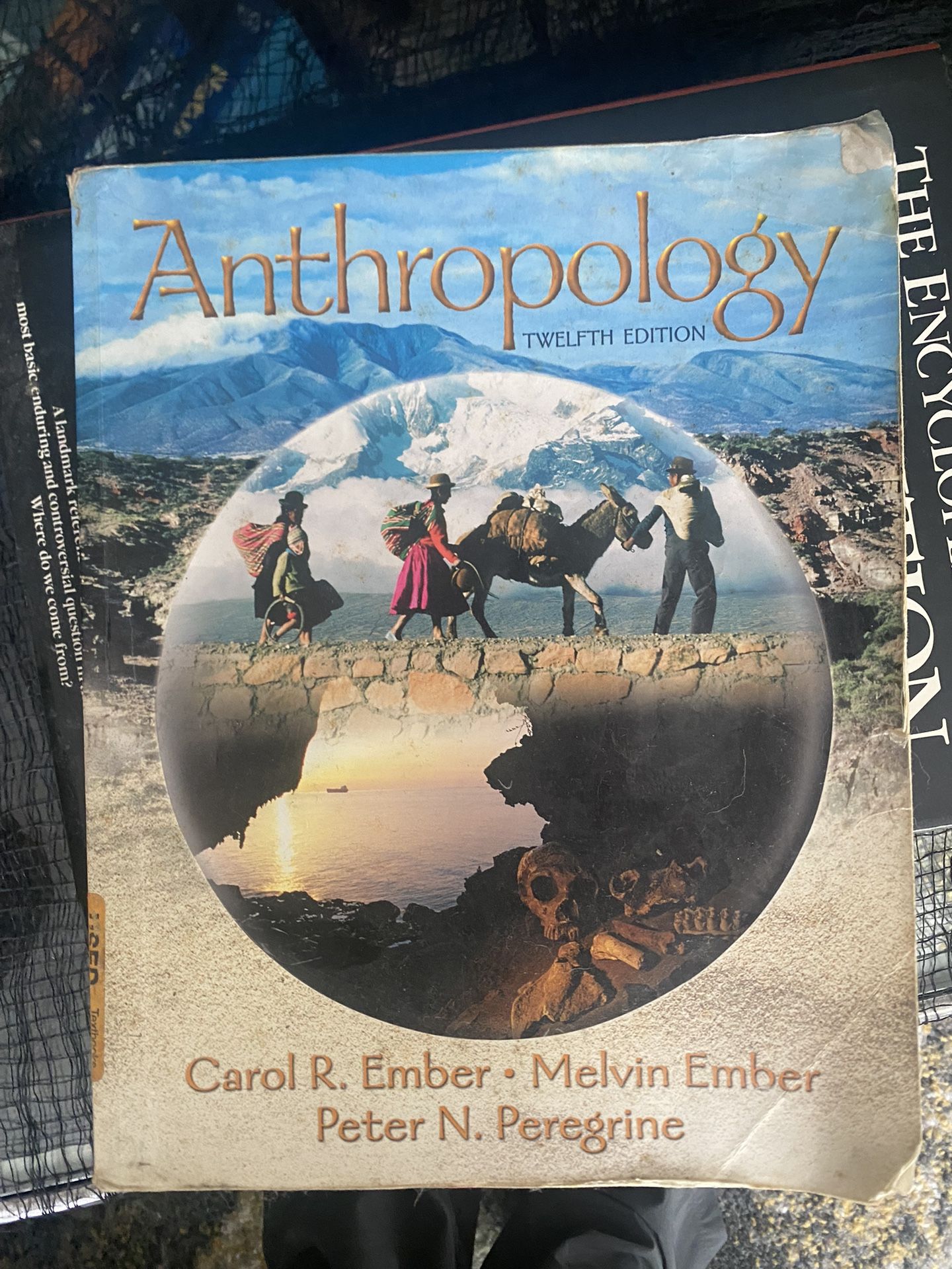 Anthology Textbook