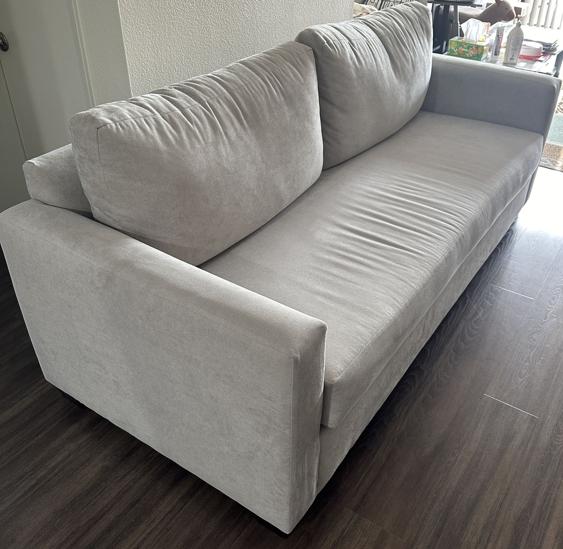 Clean Sofa