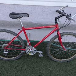 Vintage Jamis Dakota MTB - Araya RM-20, Deore - Size M