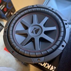 10” Subwoofer 