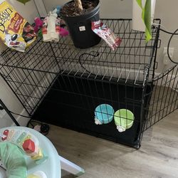 Big dog Cage
