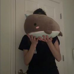 Little Whale Stuff Animal 