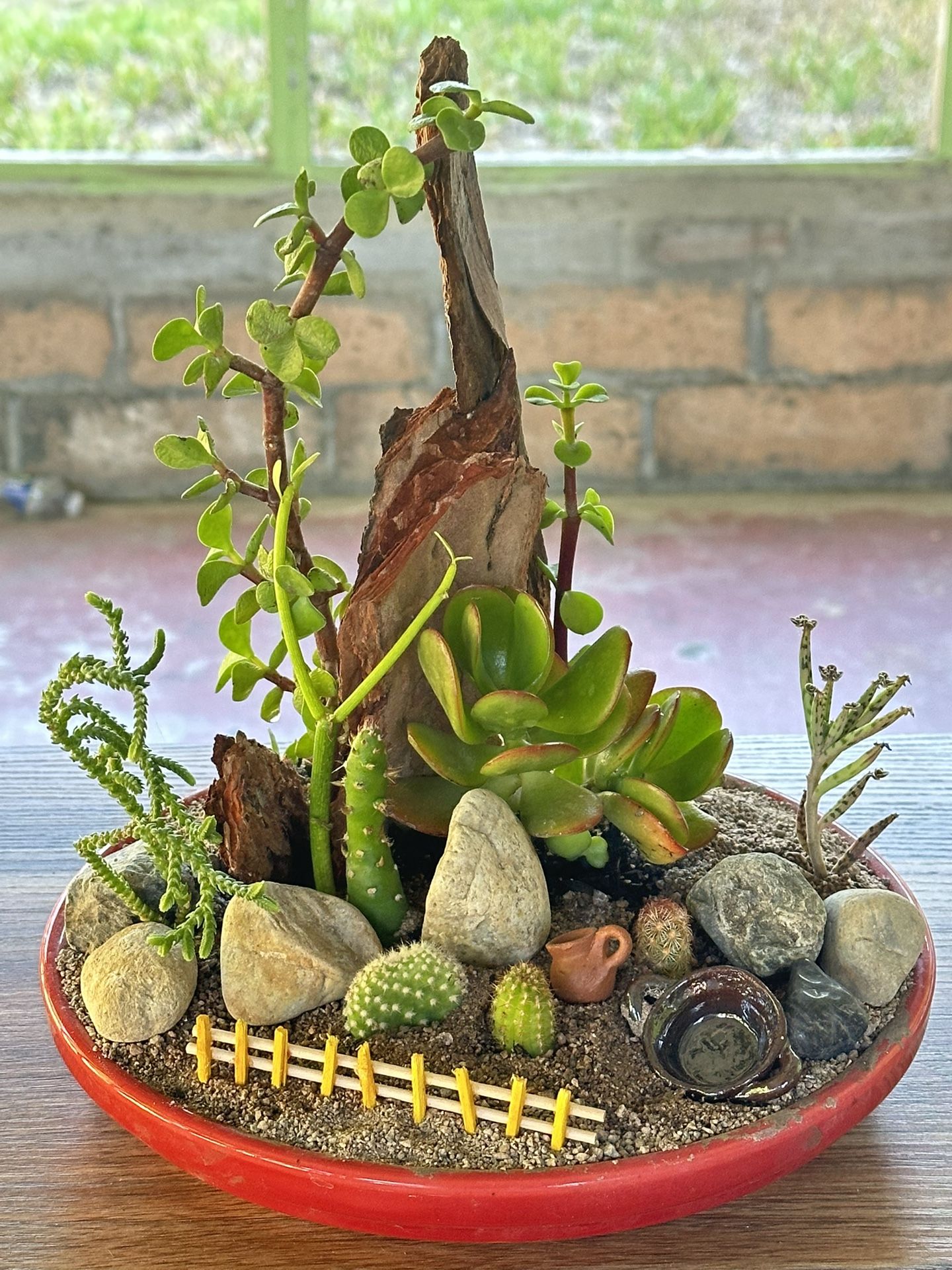 Succulent Arrangement