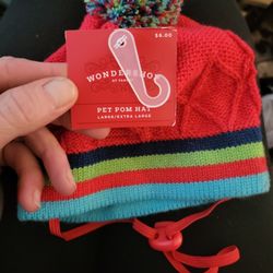 Wondershop Pet Hat (2 Available)
