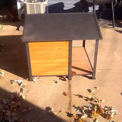 Dog House 
